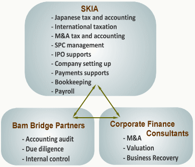 SKIA Lines of Business